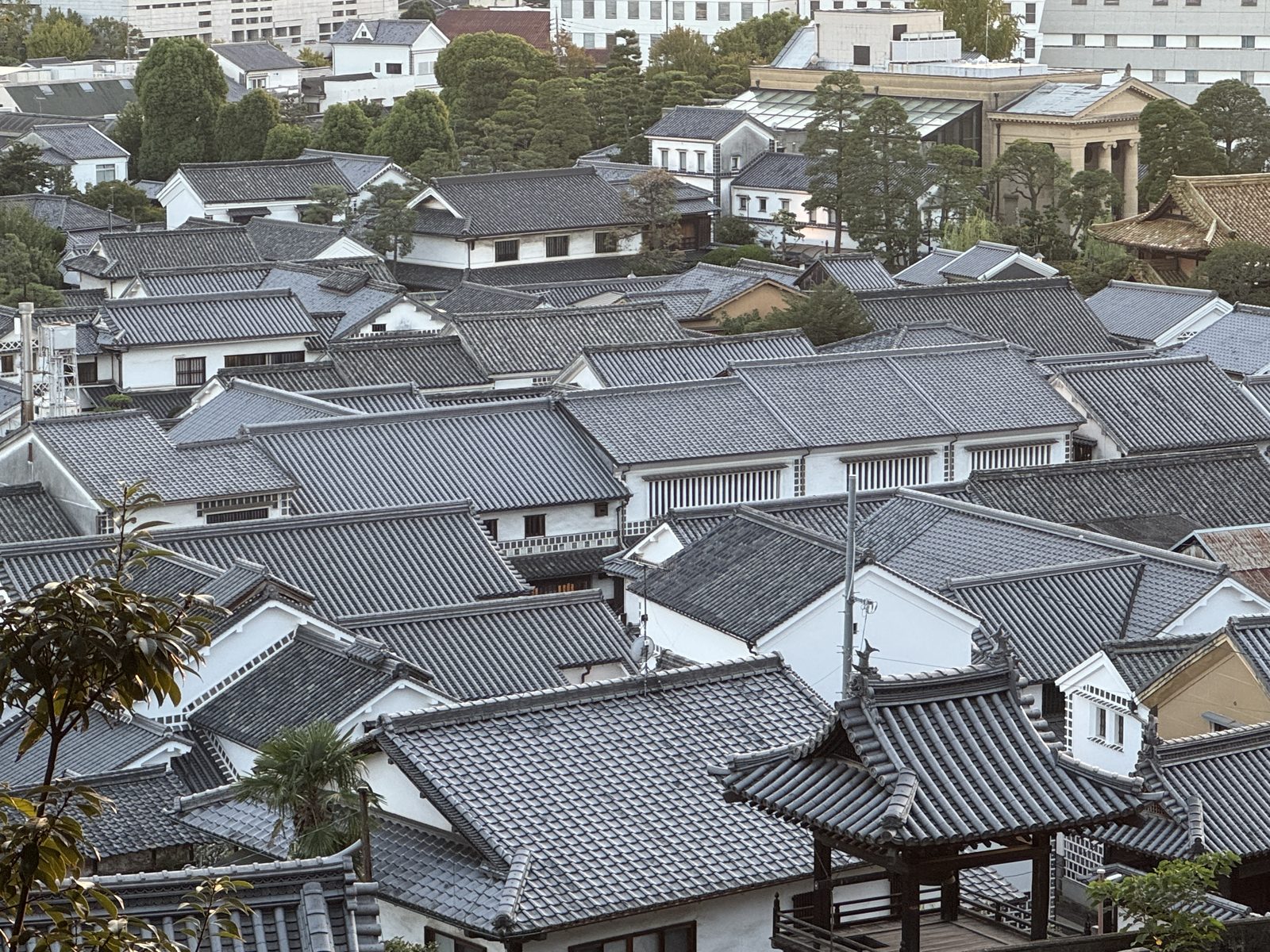 阿智神社から見おろす美観地区の屋根瓦(甍の海)
