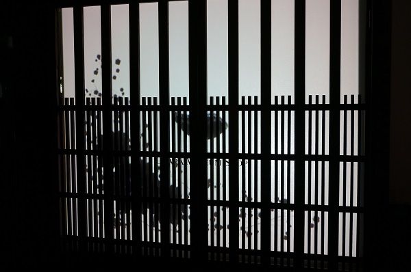 町家に映る影絵