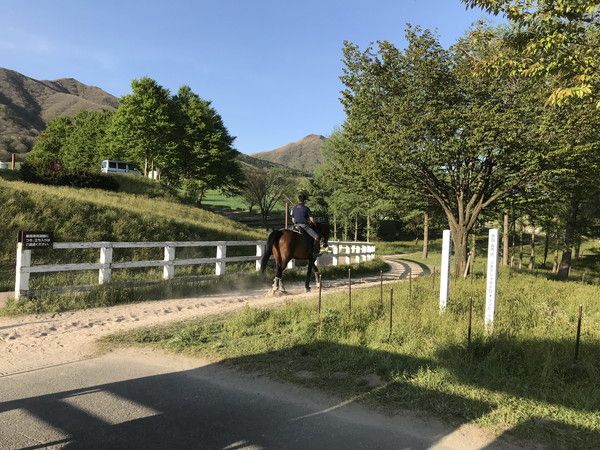 蒜山ホースパーク ― 乗馬・餌やり体験ができる本格施設