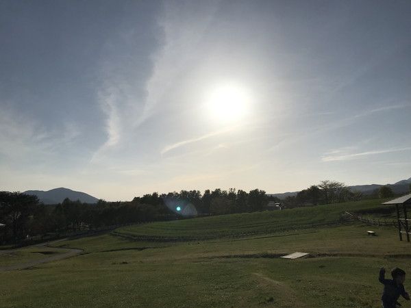 蒜山三座を望むひまわり畑