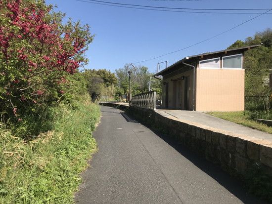 風の道の途中、緑に囲まれた道