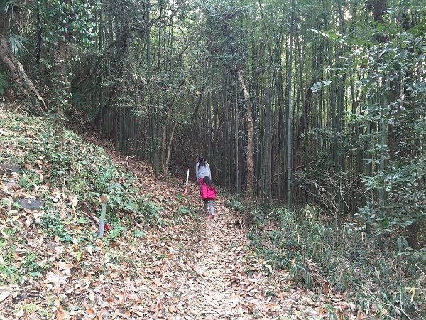 金甲山山頂からの眺めの写真