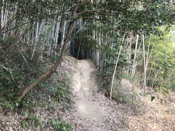 丸山古墳へ続く山道の写真