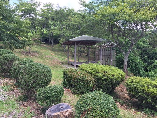 霧の海展望の丘から望む夏の吉備高原の谷