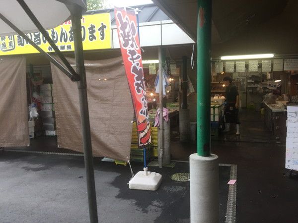 広い芝生広場の写真