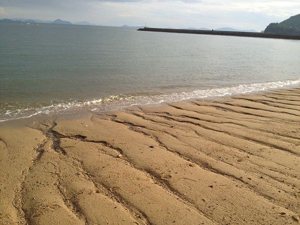 夕日に染まる海岸の写真