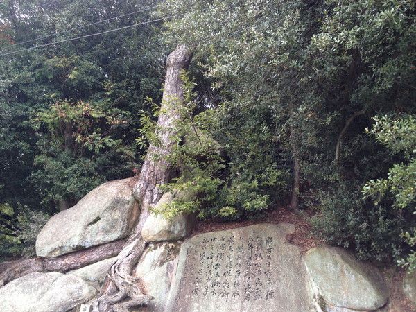 千光寺 ― 尾道の眺望とロープウェイ参り