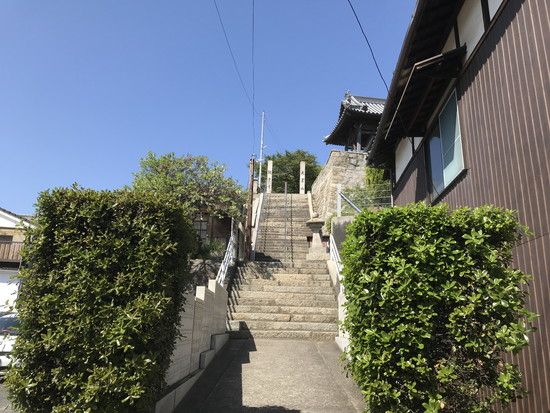 高台から見渡す瀬戸大橋と塩飽諸島
