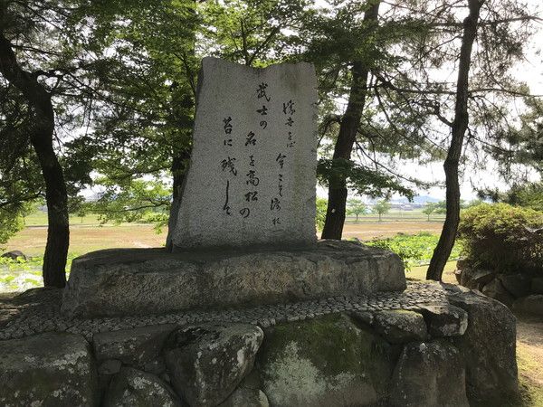 堀跡の蓮の写真