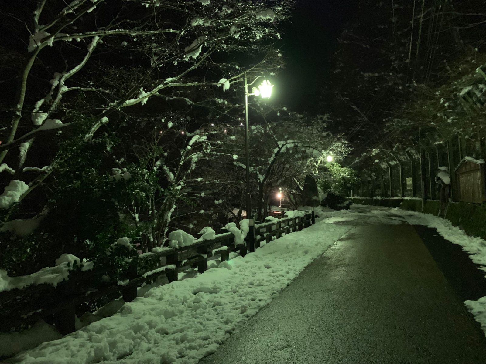 雪が積もった夜の湯原温泉、街灯に照らされた雪道